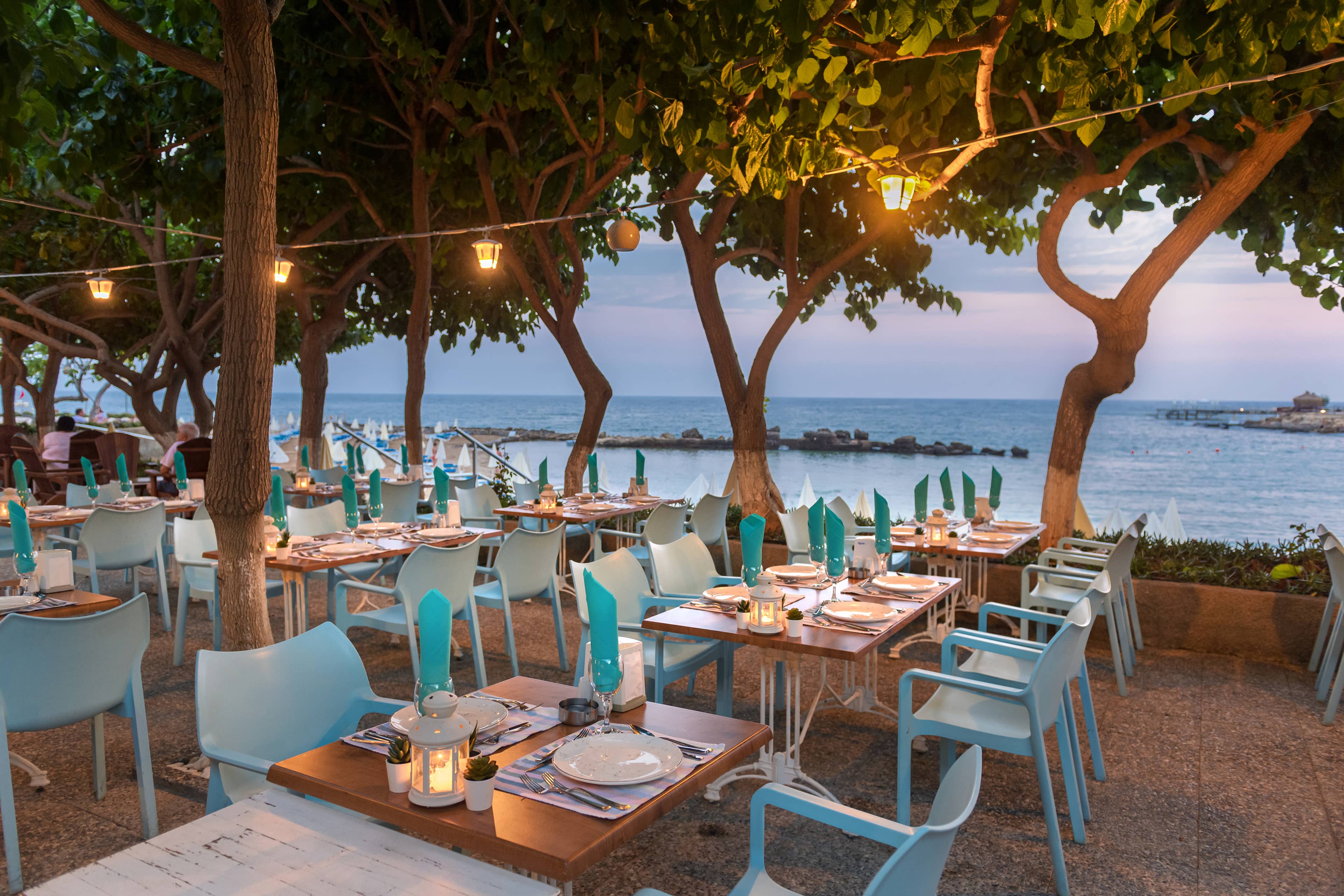 restaurants-ali-baba-a-la-carte-restaurant
