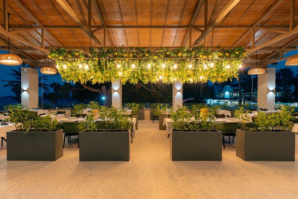 restaurants-trattoria-antica-italiano