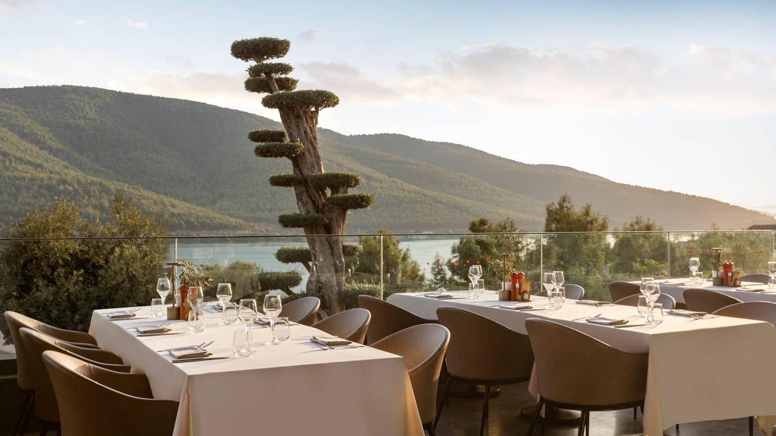 restaurants-koza-international-cuisine