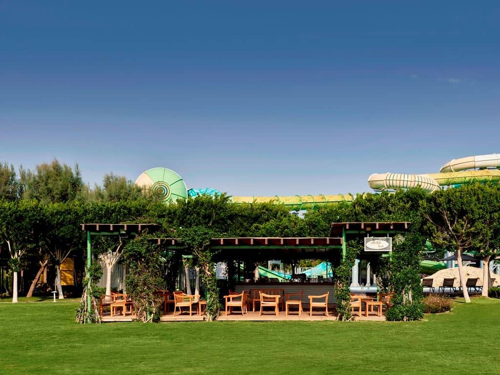 bars-yasemin-bar