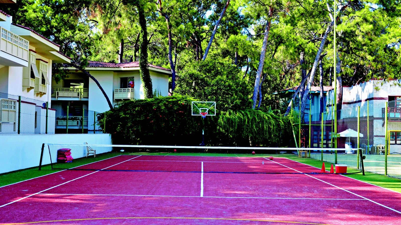sport-sport