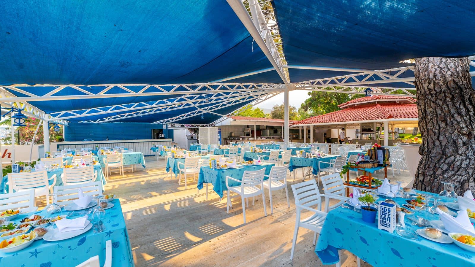 restaurants-fish-restaurant