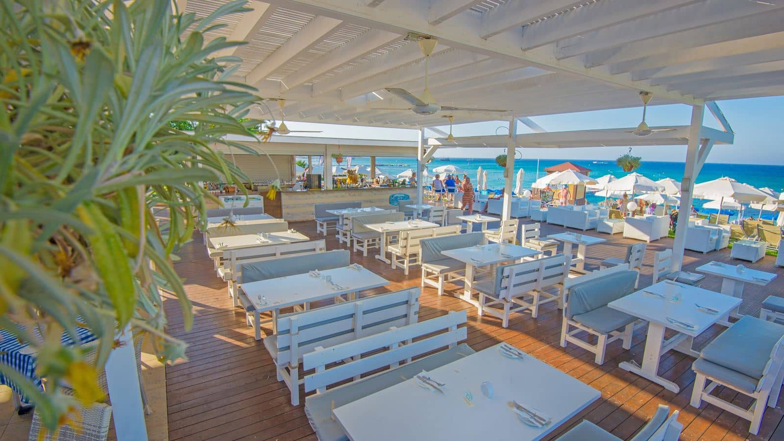 restaurants-restaurants