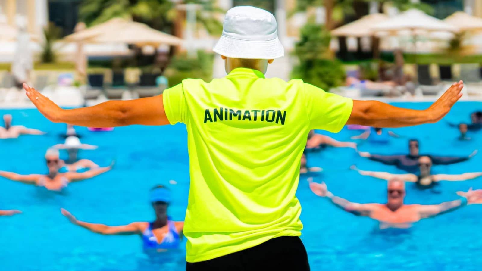 animation-animation