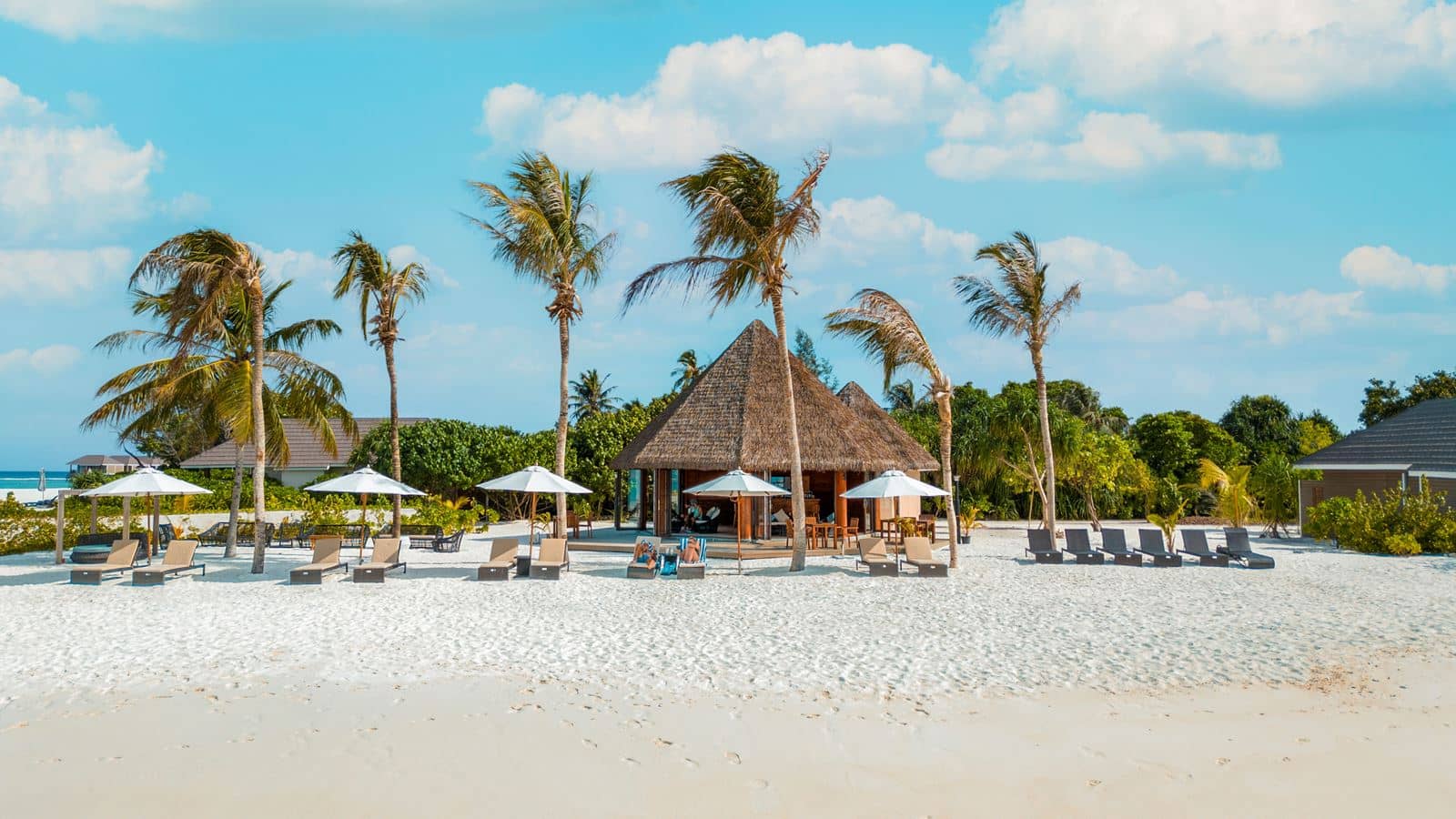 bars-beach-bar