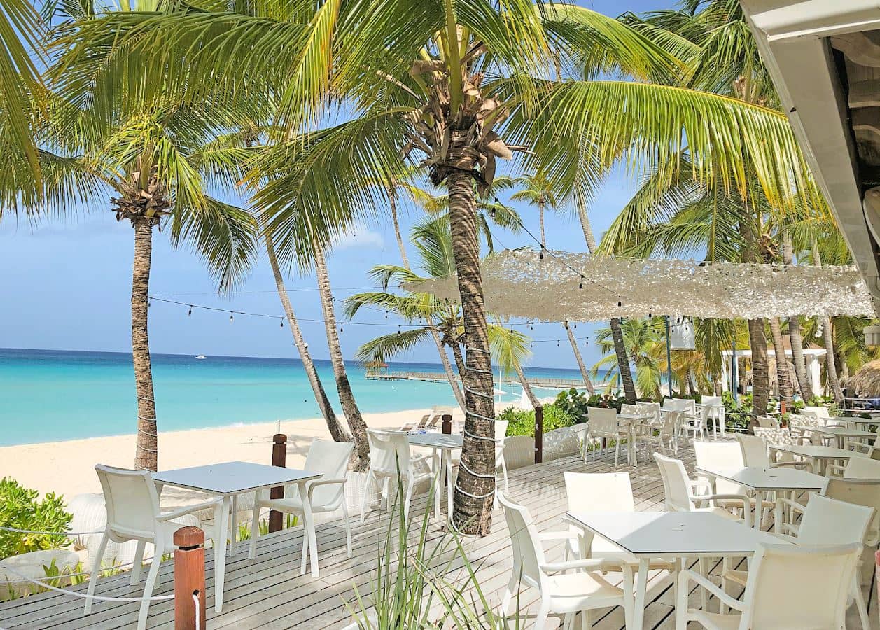 restaurants-terrace