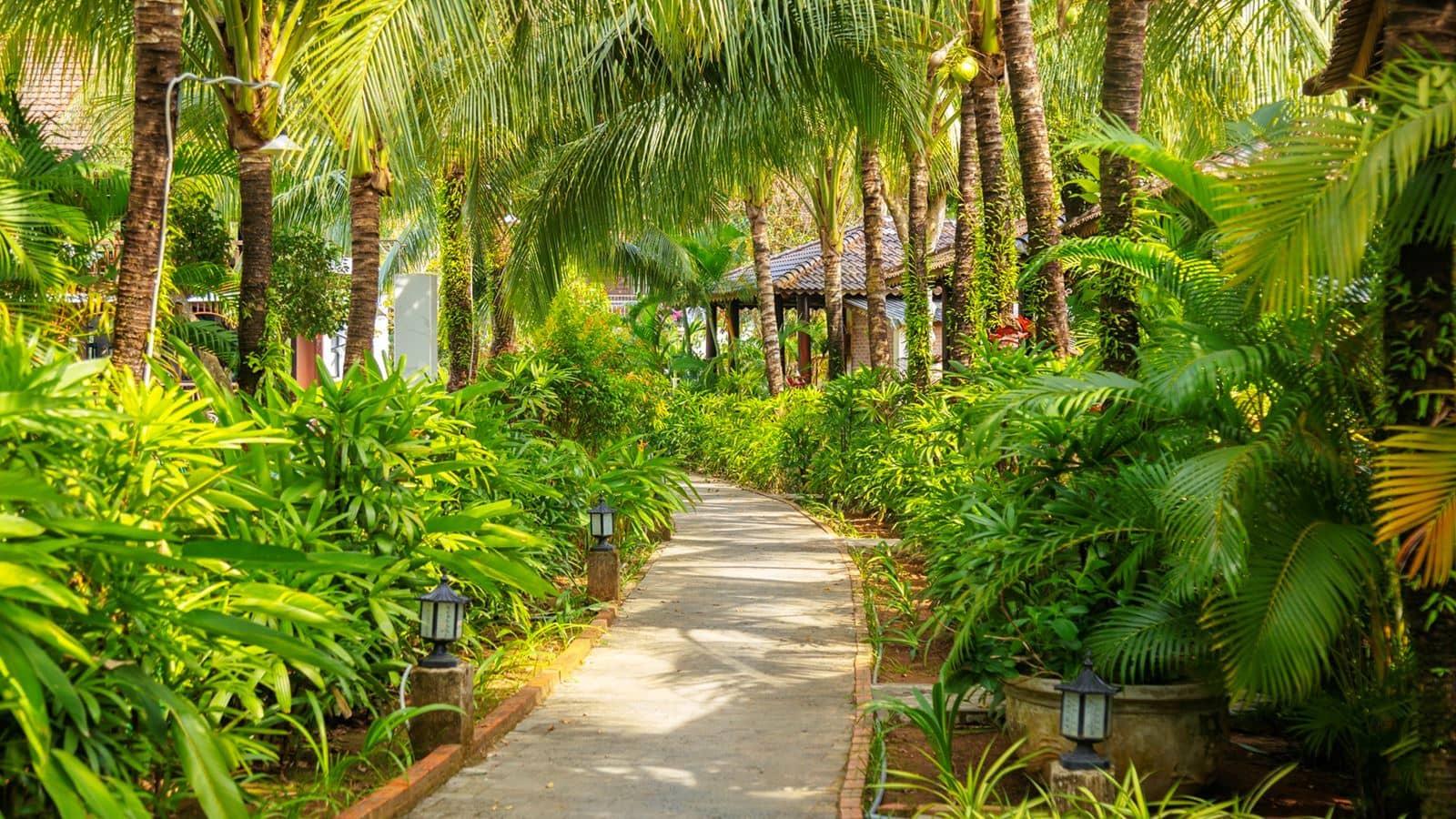 rooms-bungalow-garden-view