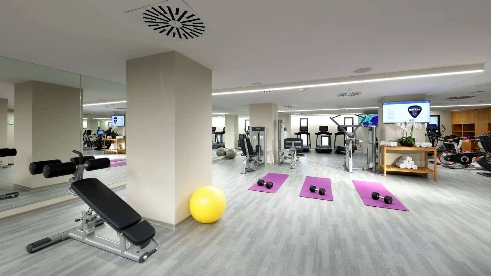 sport-sport