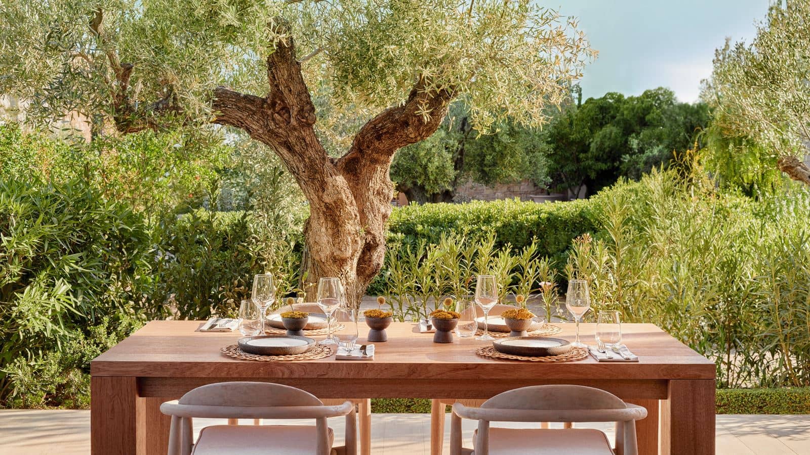 restaurants-the-garden
