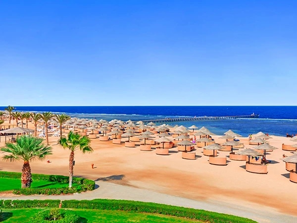 Відпочинок в мережі готелів PICKALBATROS HOTELS в Єгипті