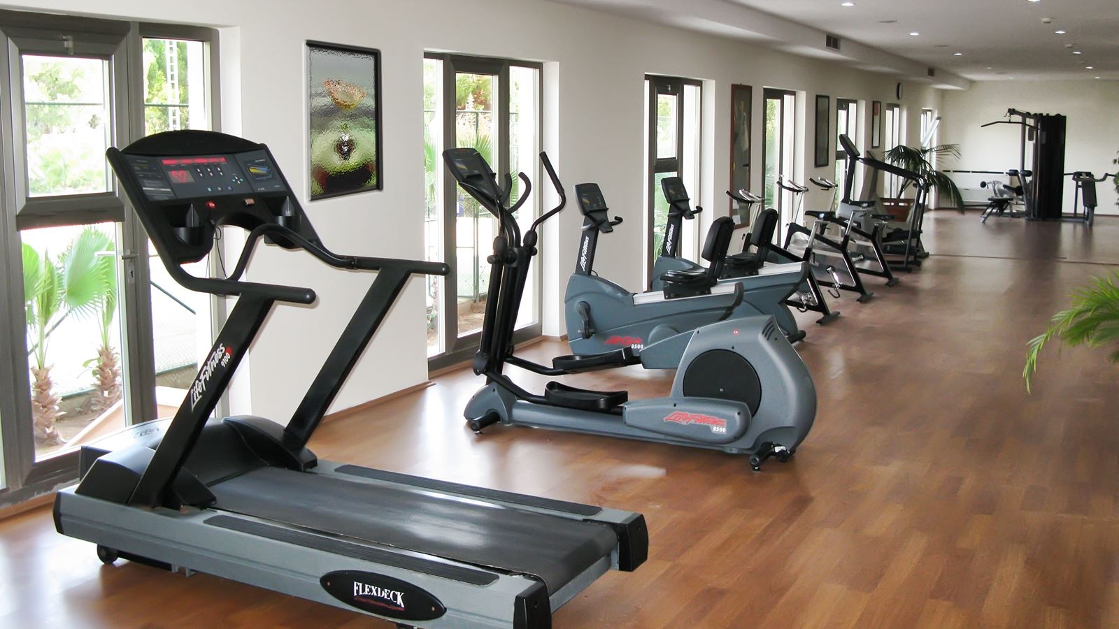sport-sport