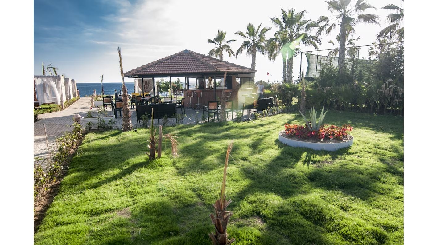 bars-beach-bar