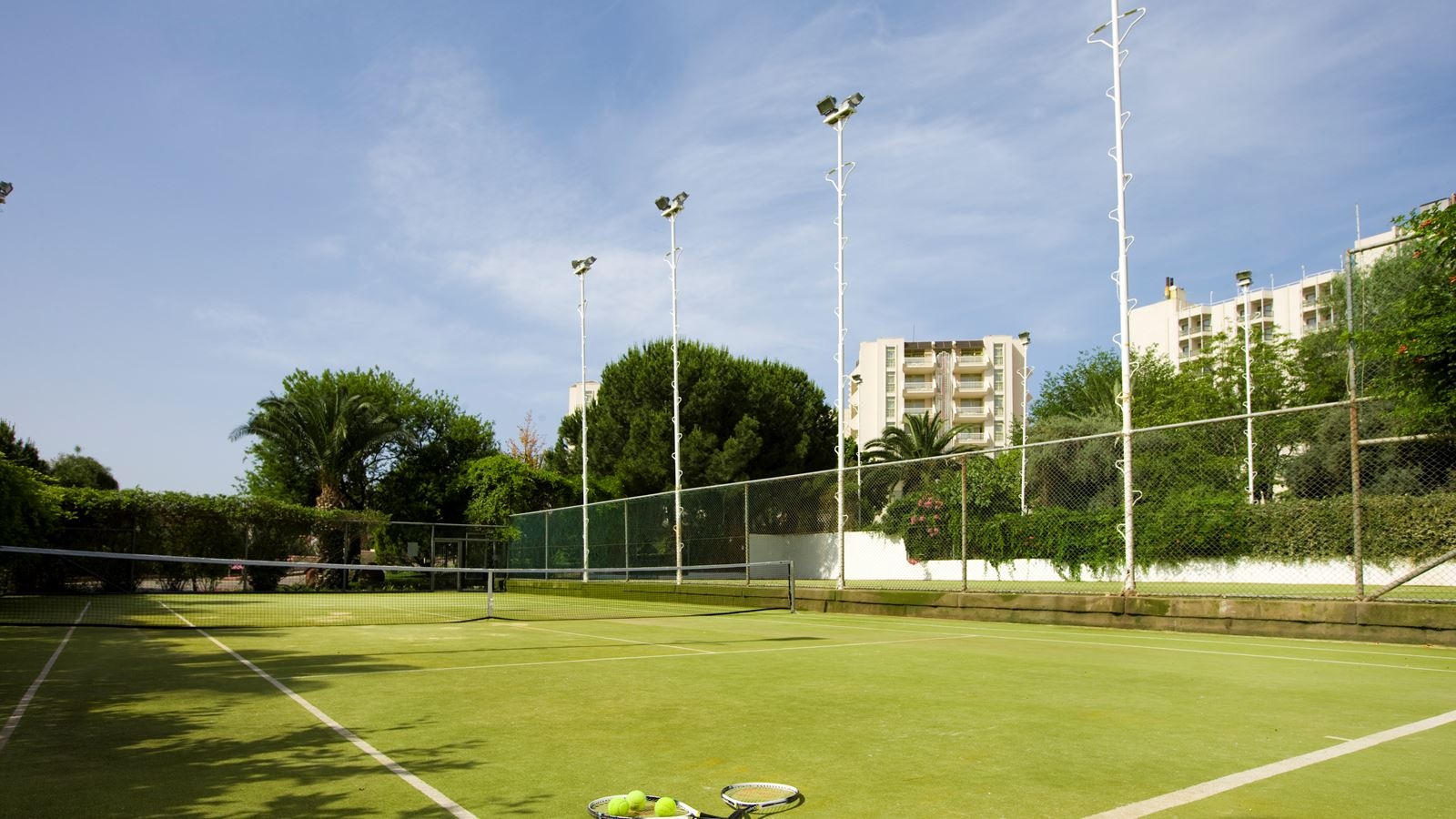 sport-sport