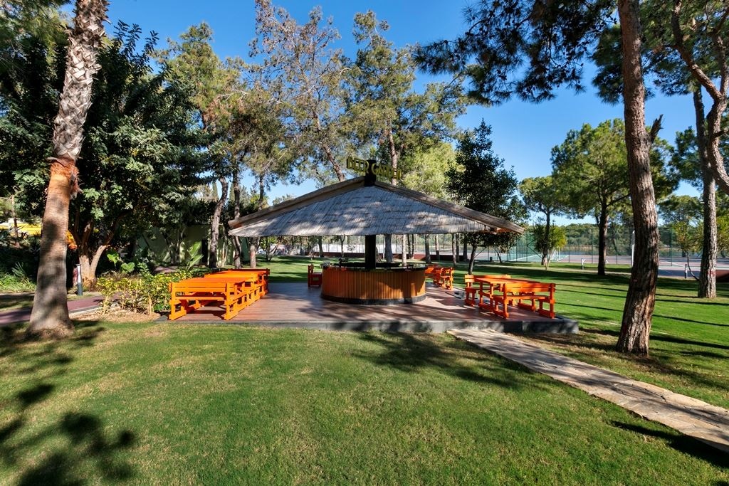 bars-beer-house-bar