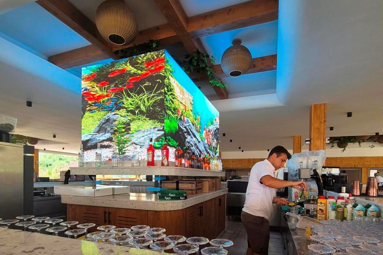 bars-beach-bar