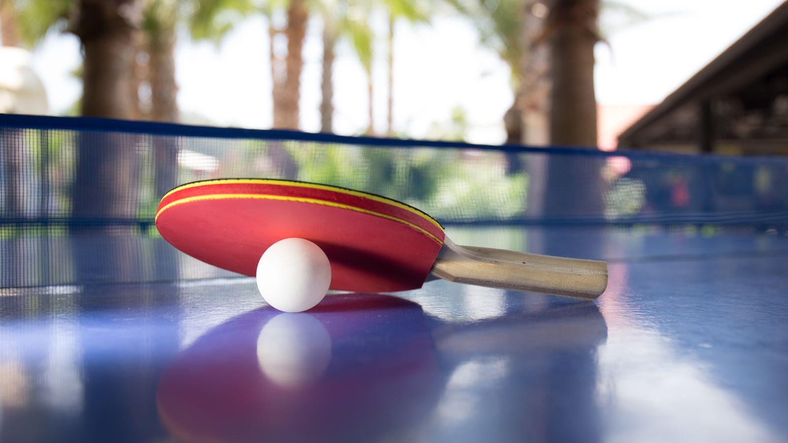 sport-sport