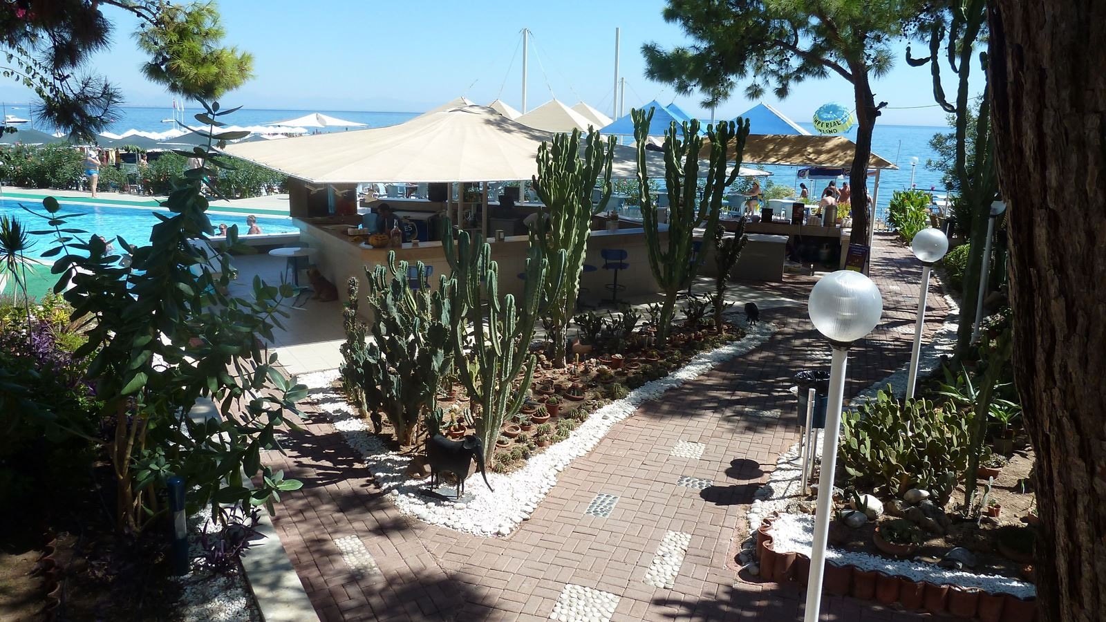 bars-kaktus-bar