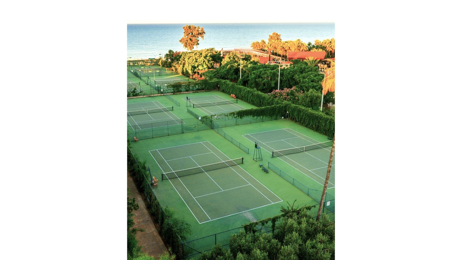 sport-sport