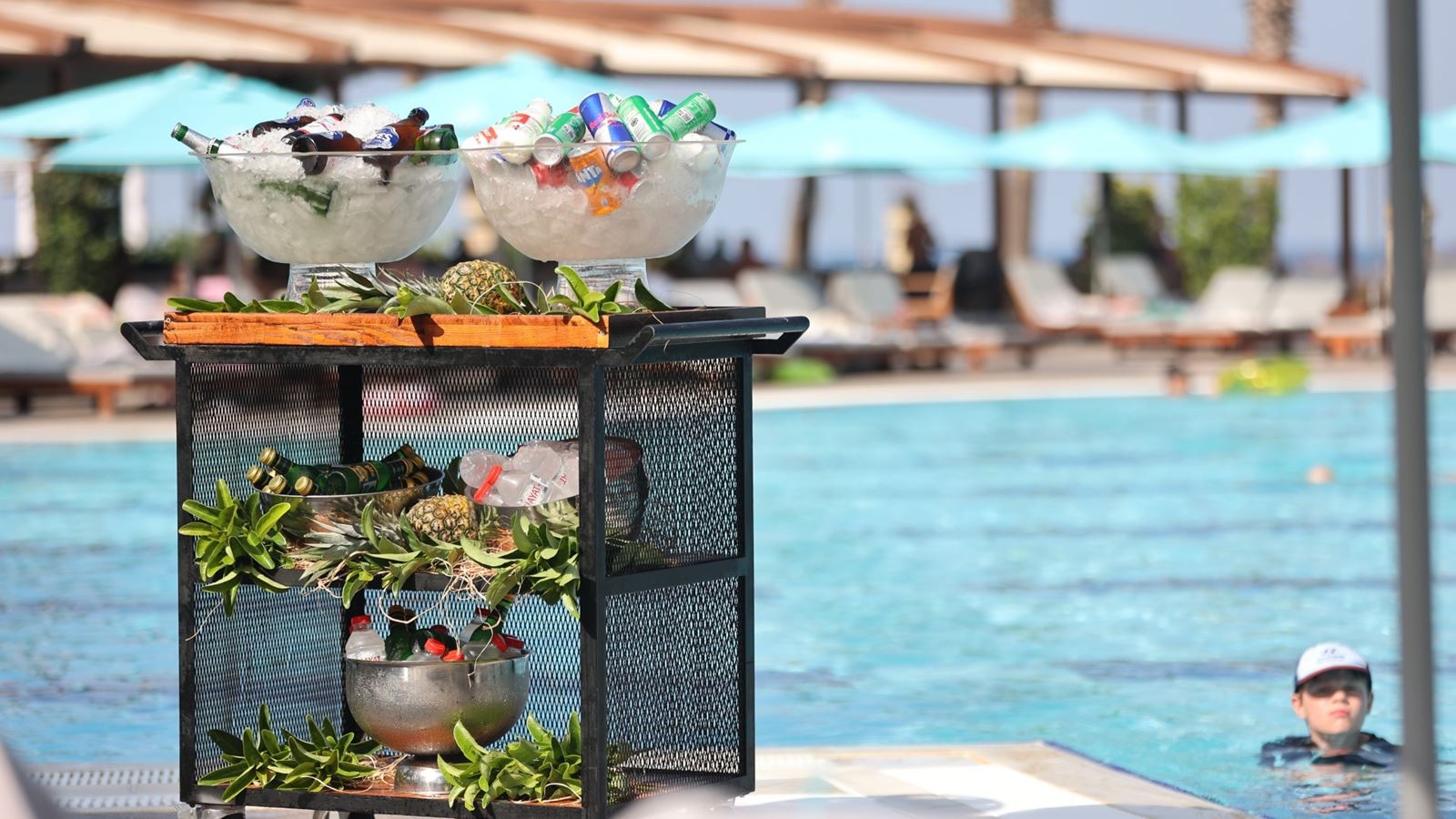bars-splendid-bar