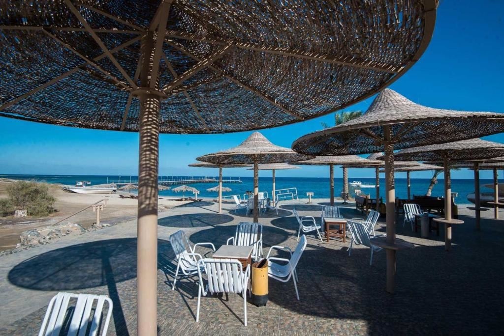 bars-beach-bar