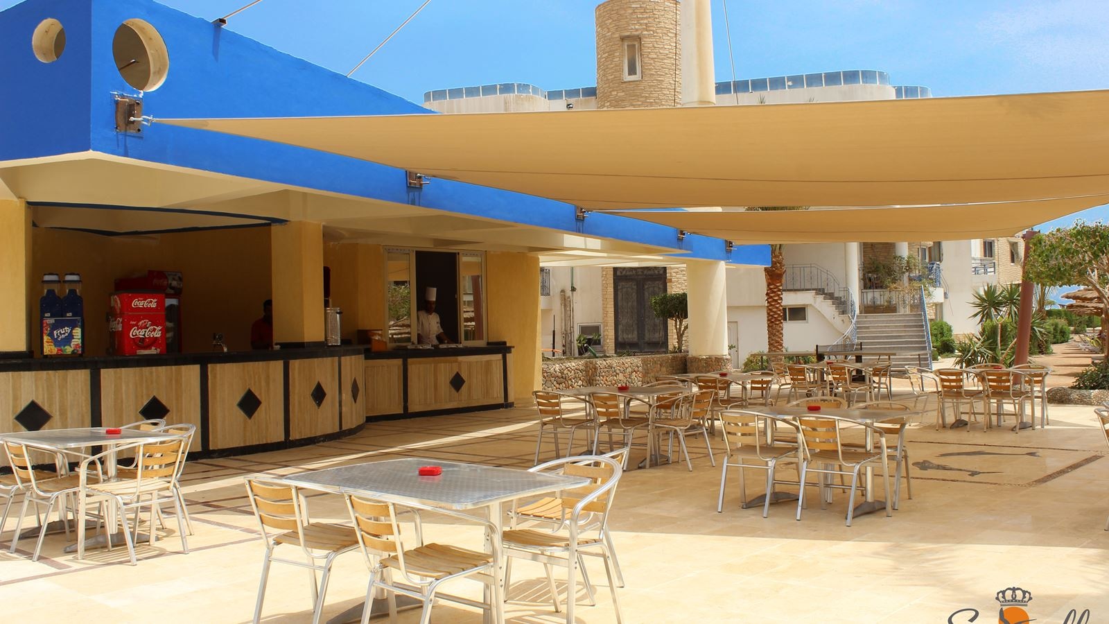 bars-dolphin-beach-bar