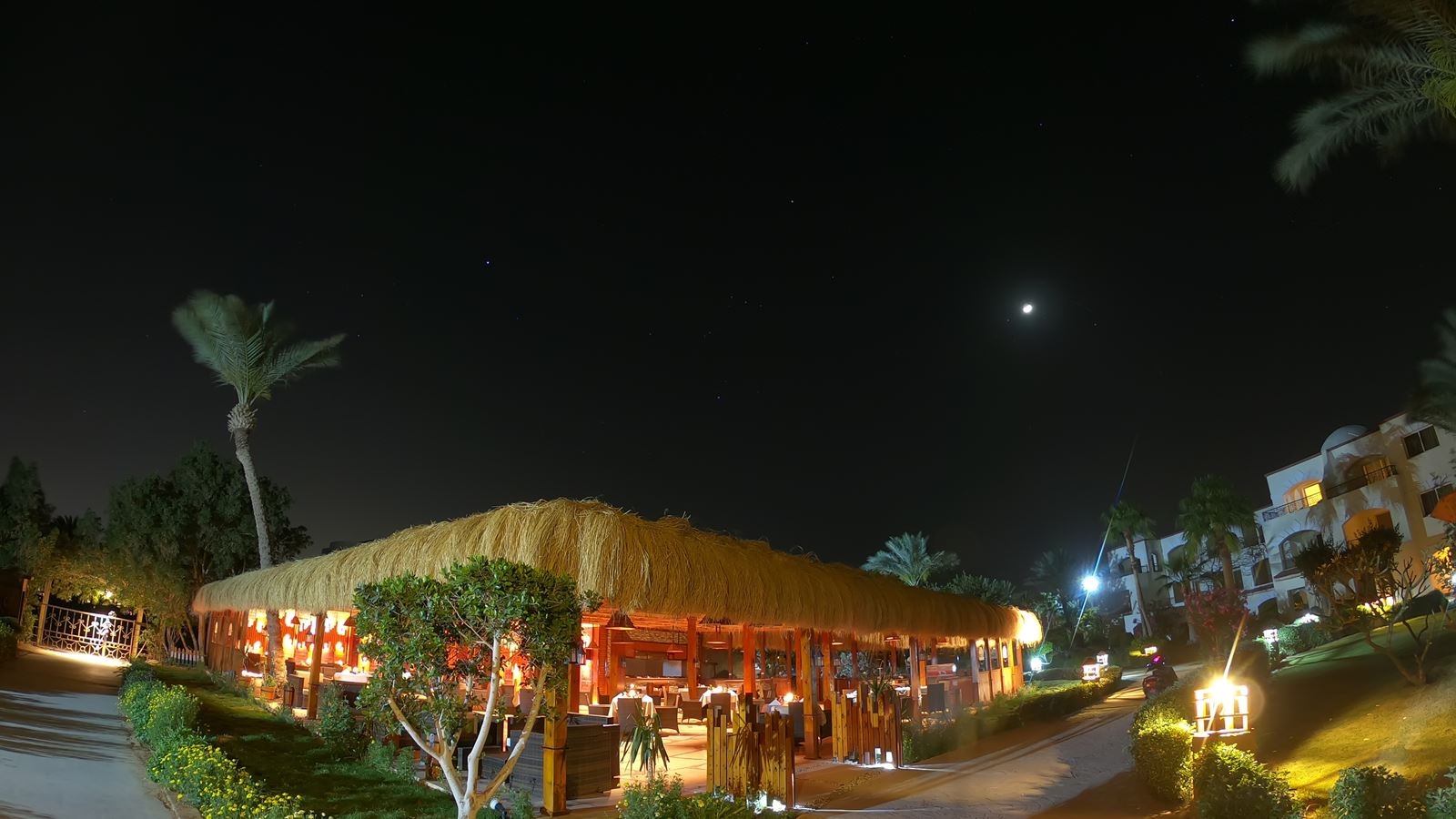 restaurants-royal-restaurant