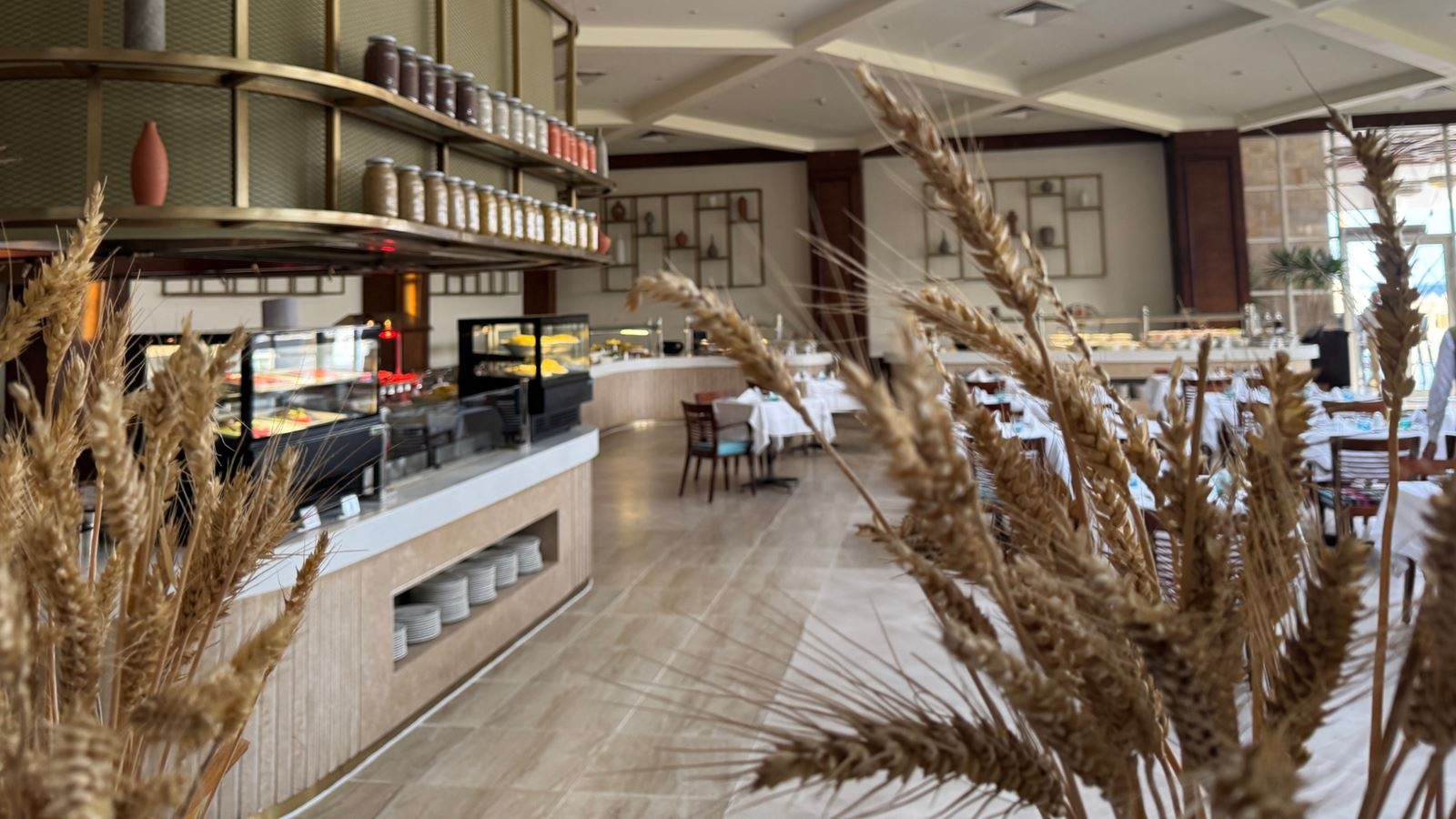 restaurants-sinai-restaurant