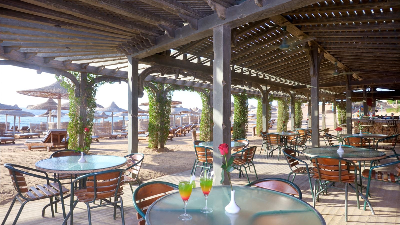 bars-beach-bar