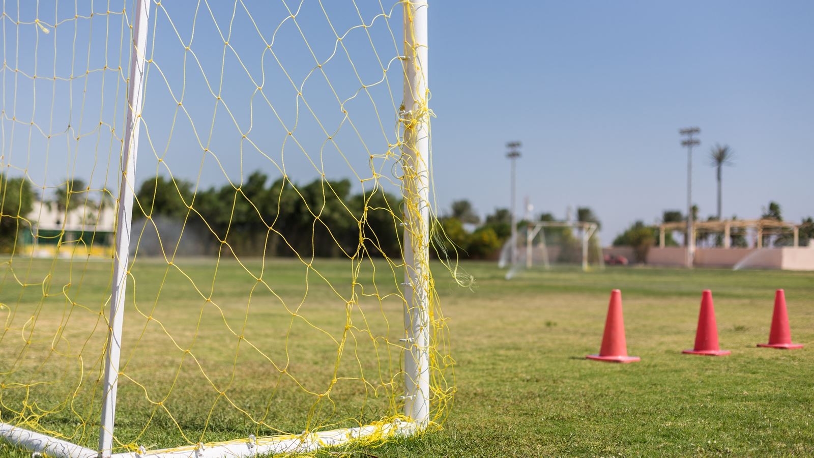 sport-sport