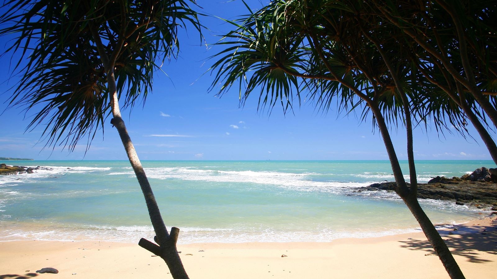 beach-beach