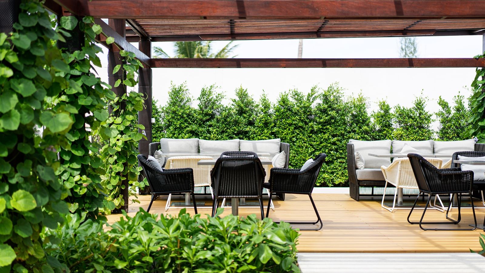 restaurants-green-mango