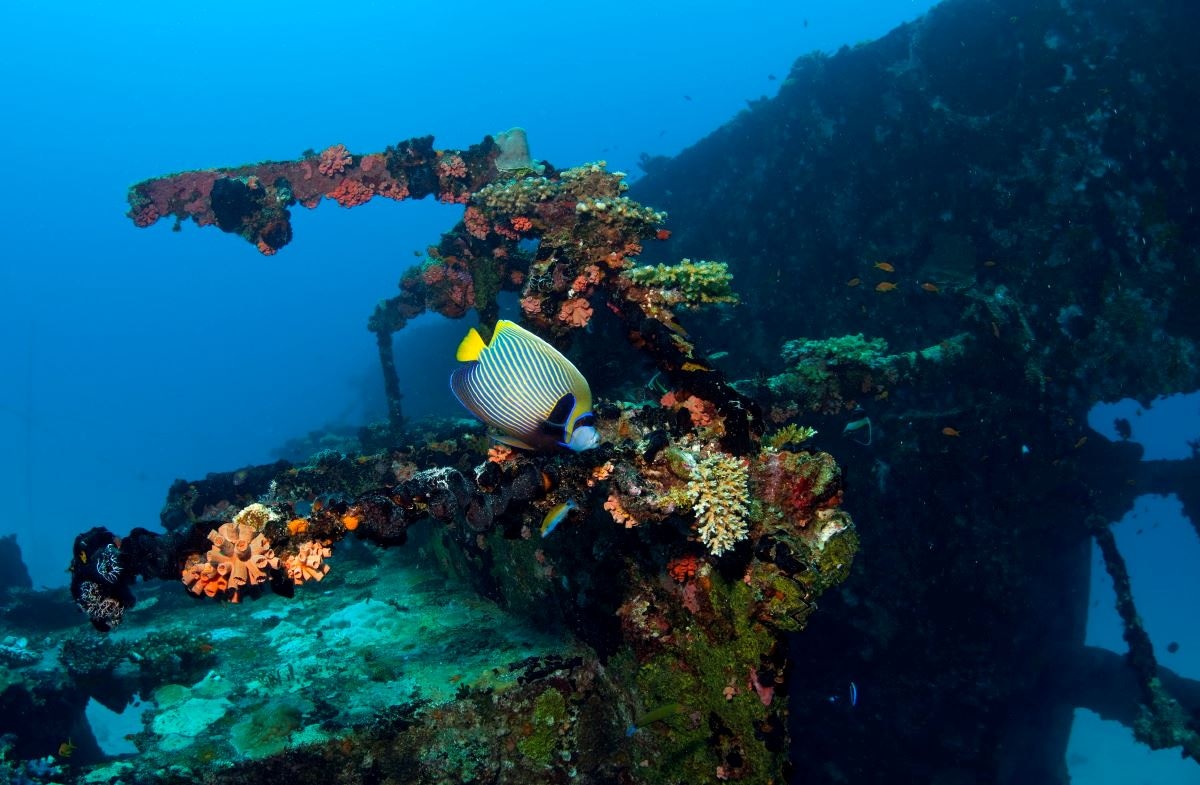 water-park-water-park