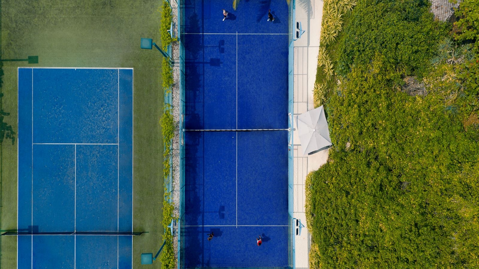sport-sport
