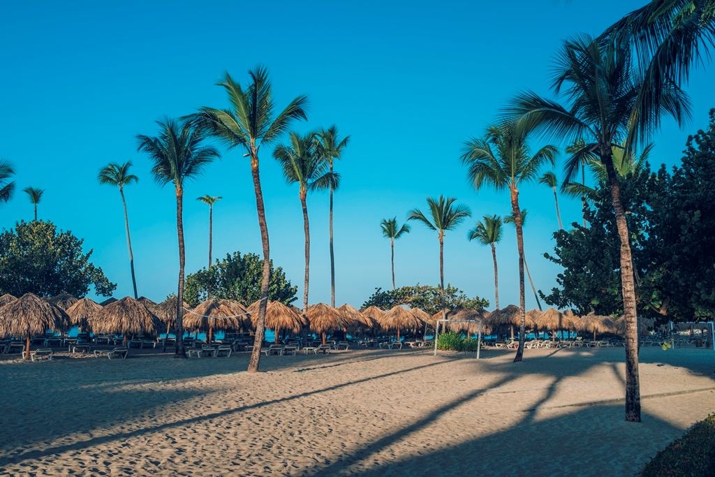 beach-beach
