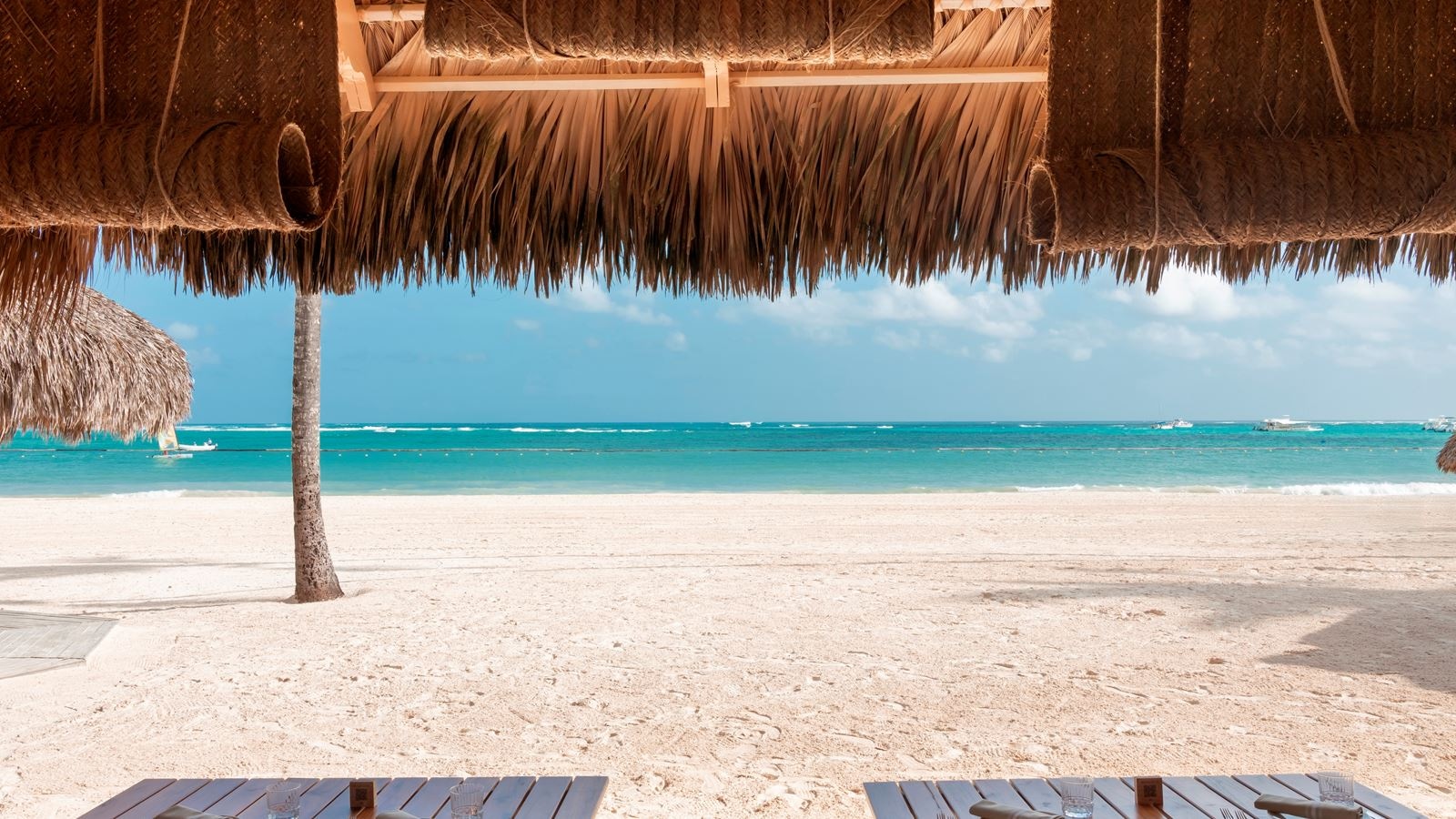 bars-beach-club