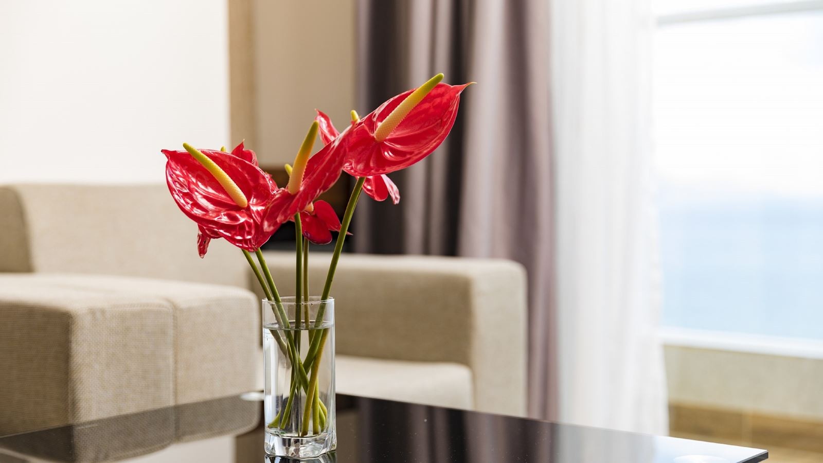 rooms-ocean-view-balcony-sea-pearl-suite