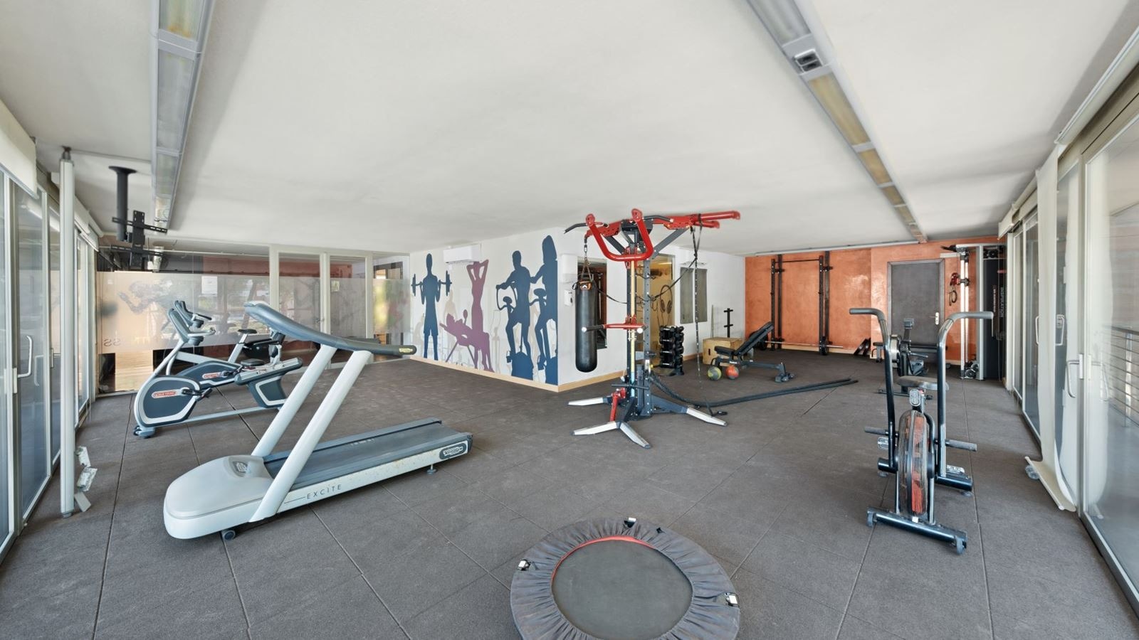 sport-sport