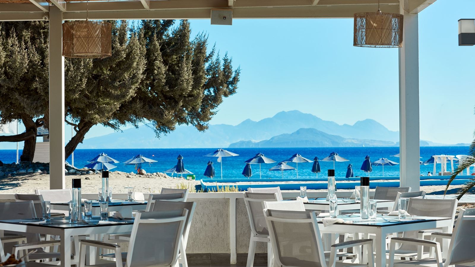 restaurants-olea