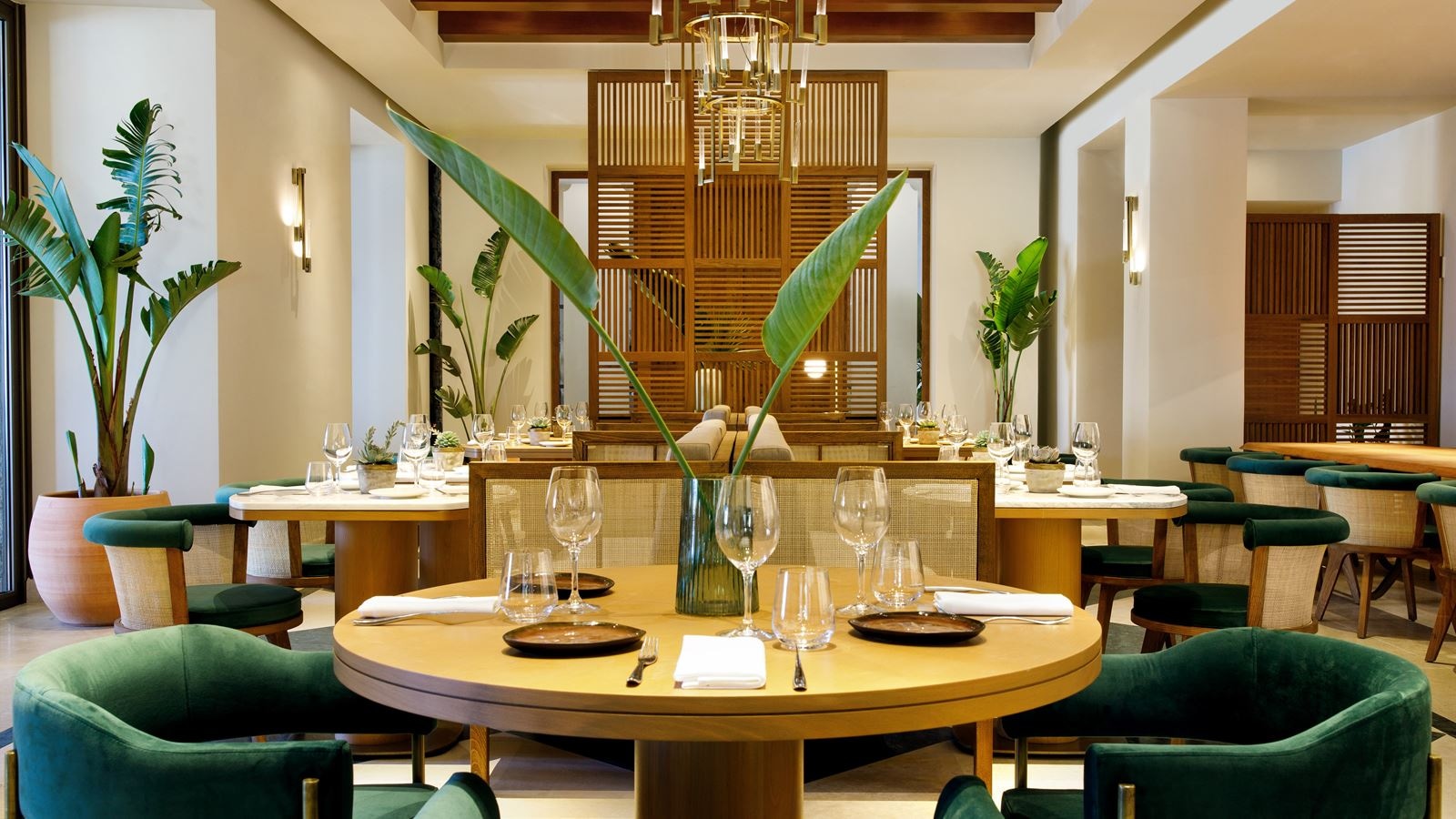 restaurants-ocean-restaurant