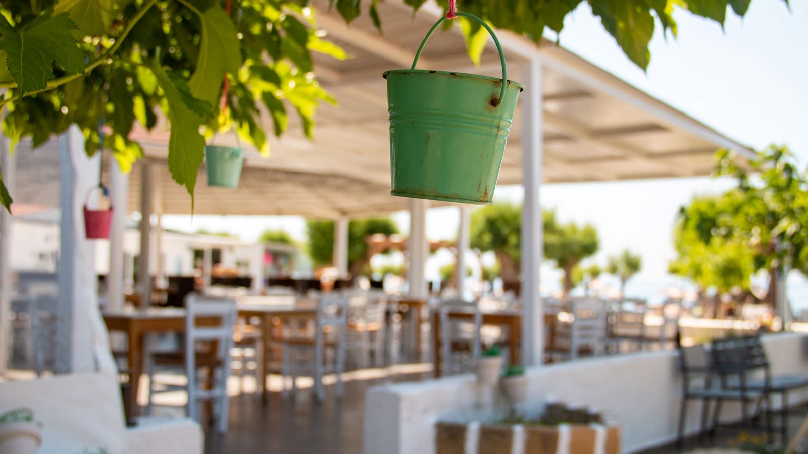 restaurants-main-restaurant