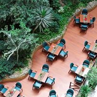 Рестораны preview