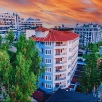 Общий preview