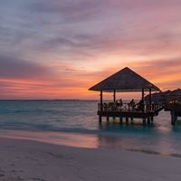 Рестораны preview