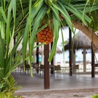 Рестораны preview